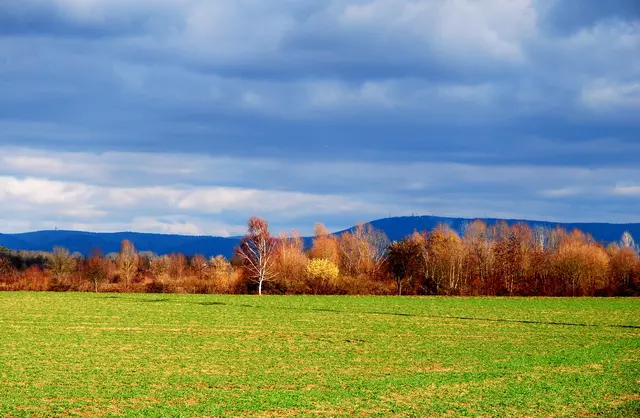 Landschaft nahe St. Leon-Rot. Foto: Galina Hecker